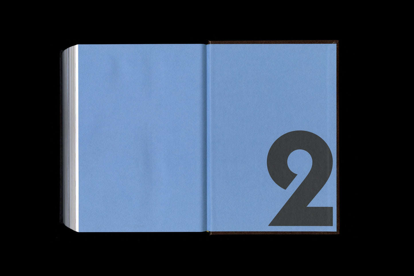SHOPLIFTERS ISSUE 10: NEW TYPE DESIGN VOL. 2