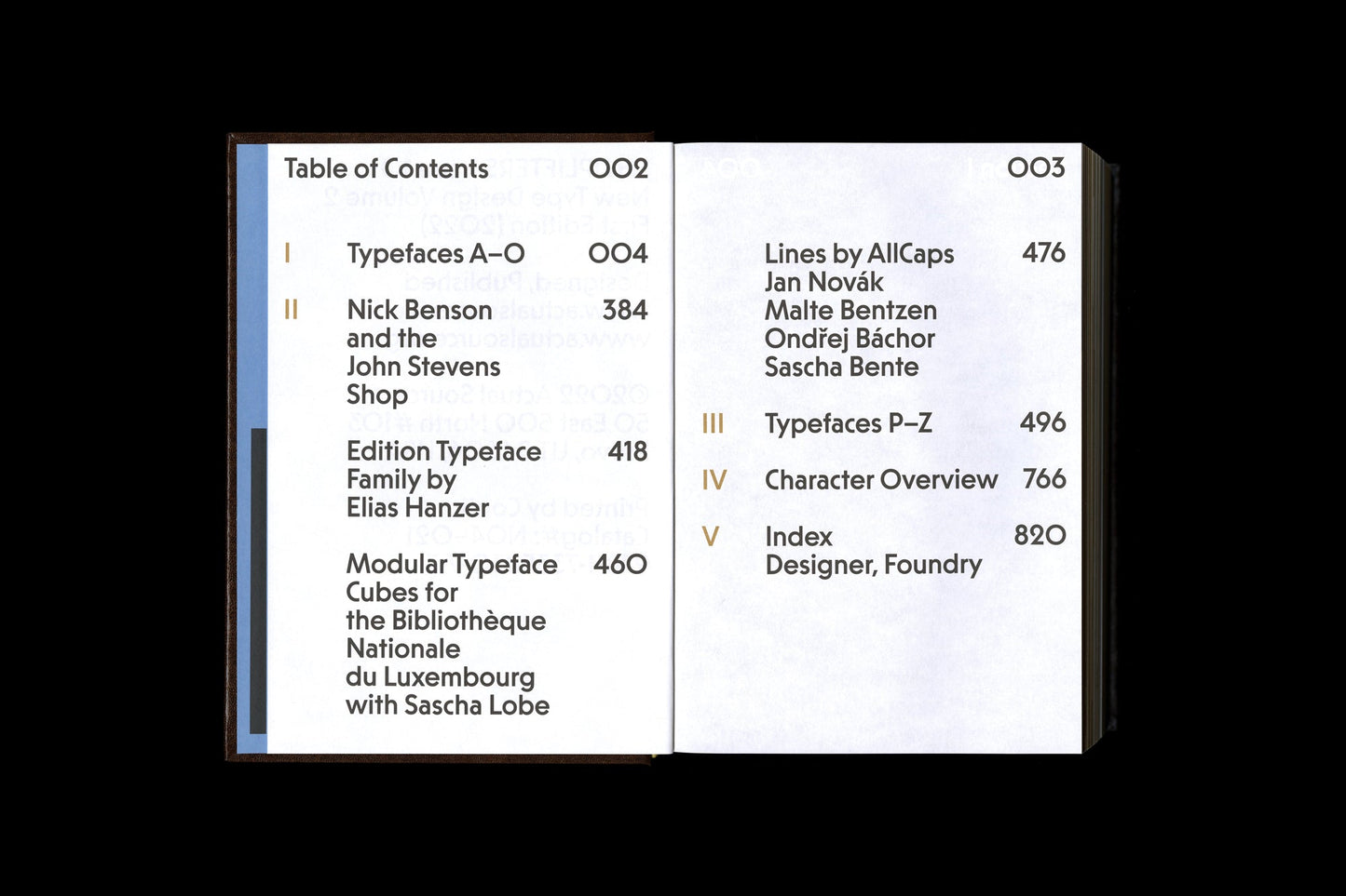 SHOPLIFTERS ISSUE 10: NEW TYPE DESIGN VOL. 2