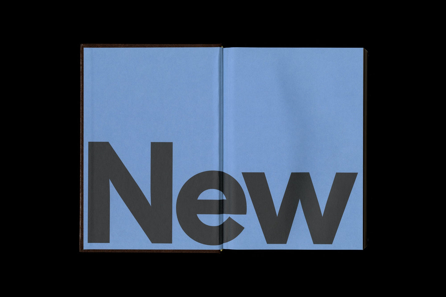 SHOPLIFTERS ISSUE 10: NEW TYPE DESIGN VOL. 2