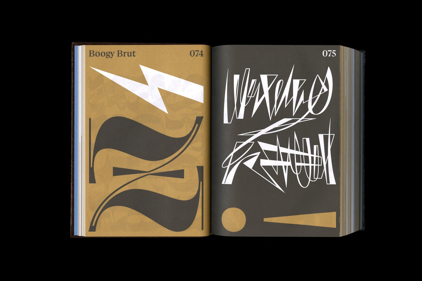 SHOPLIFTERS ISSUE 10: NEW TYPE DESIGN VOL. 2