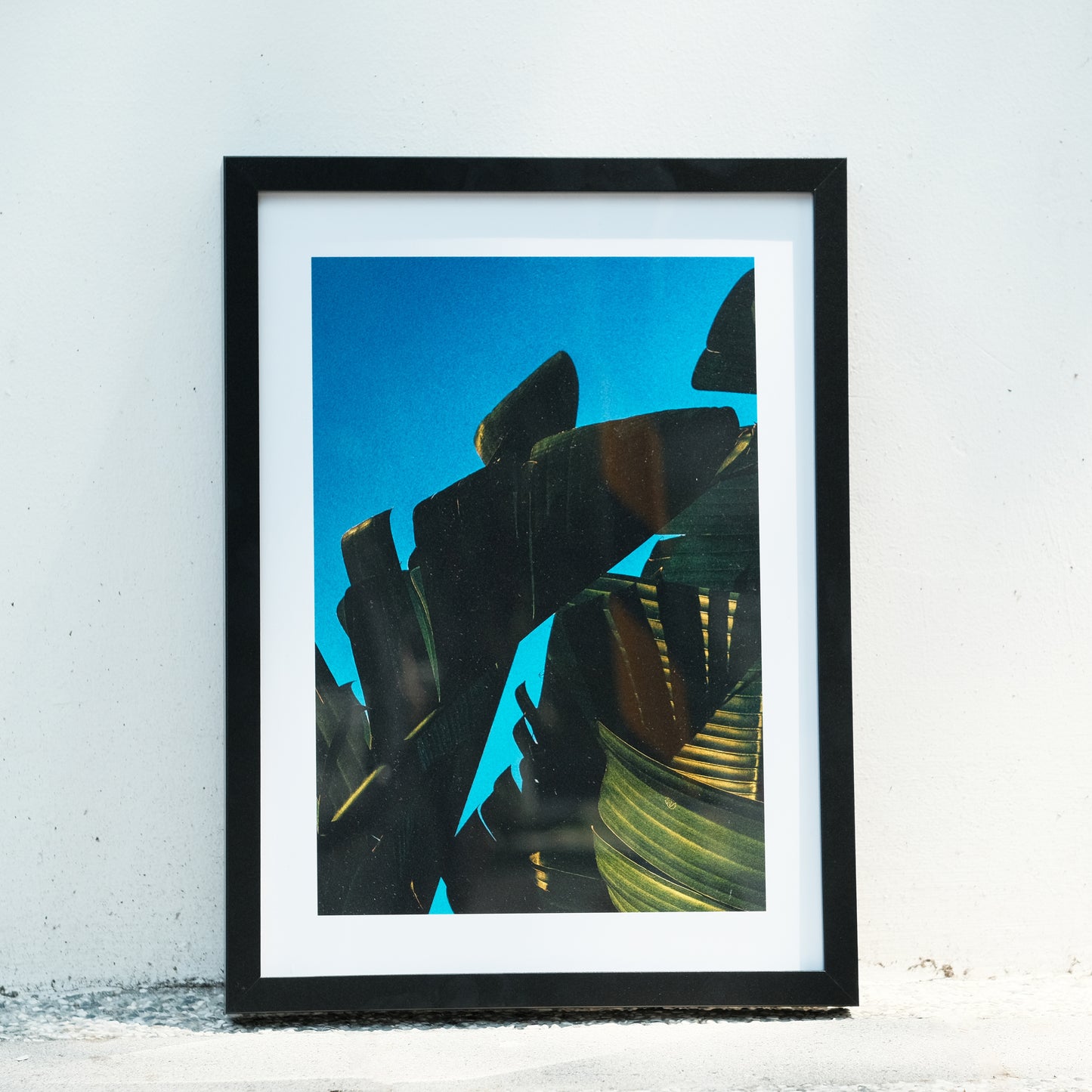 "Hot Summer Banana Tree" by Rooster Chen