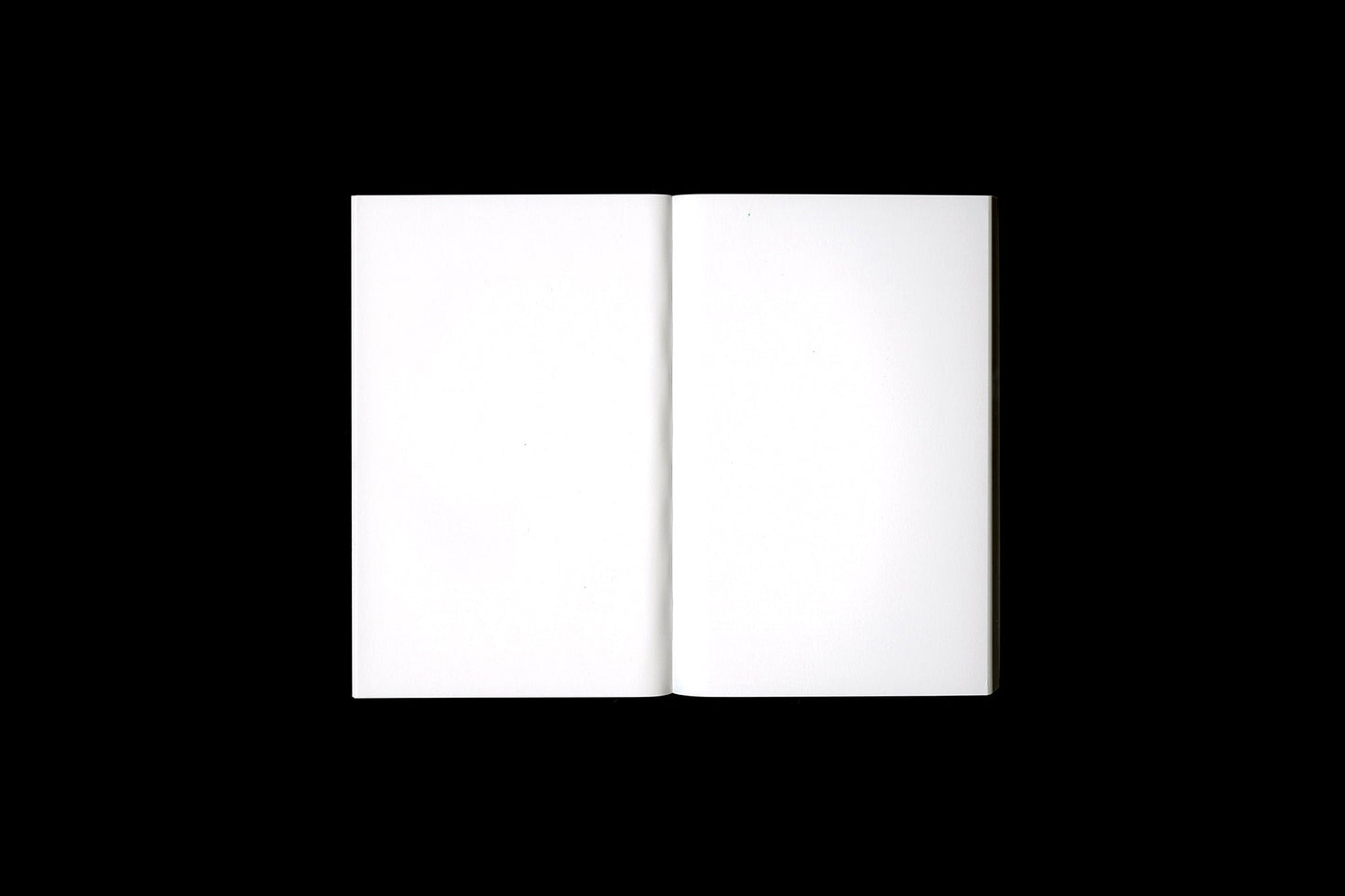 Stefan Marx: Notes