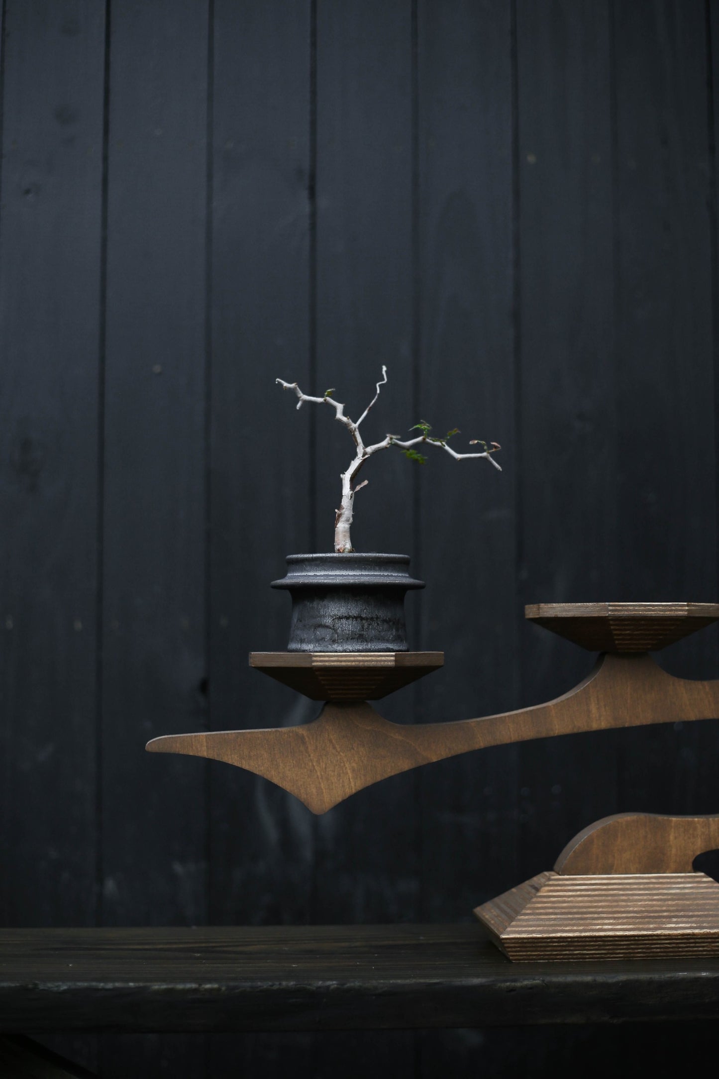 “zyra” wood plant stand